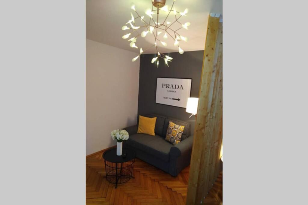 Art & Design Apt - City Center Timişoara Buitenkant foto