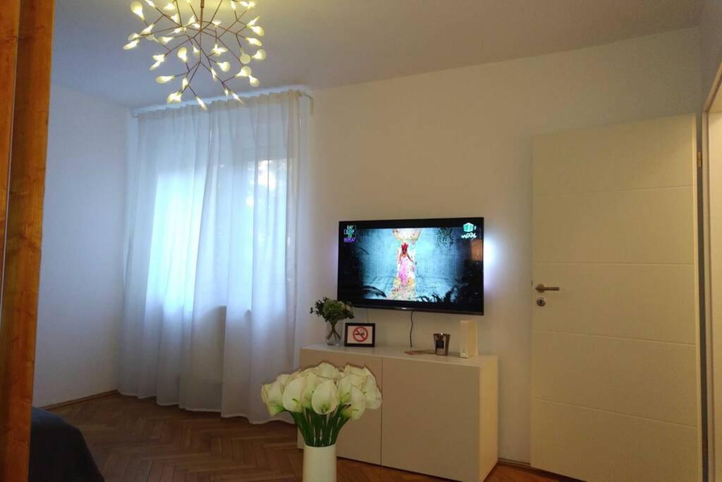 Art & Design Apt - City Center Timişoara Buitenkant foto