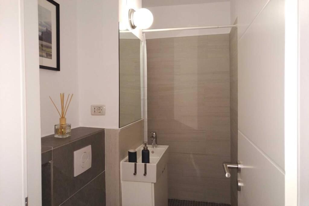 Art & Design Apt - City Center Timişoara Buitenkant foto