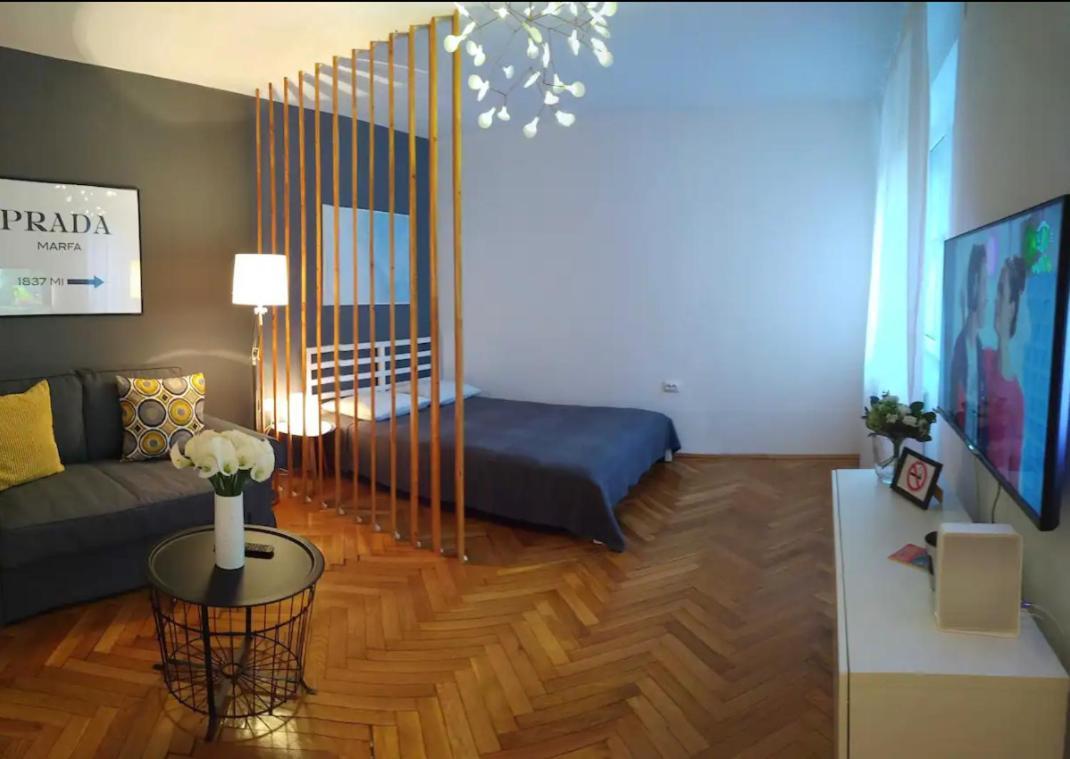 Art & Design Apt - City Center Timişoara Buitenkant foto